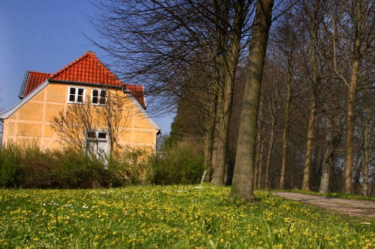 Hus med træer i forgrunden