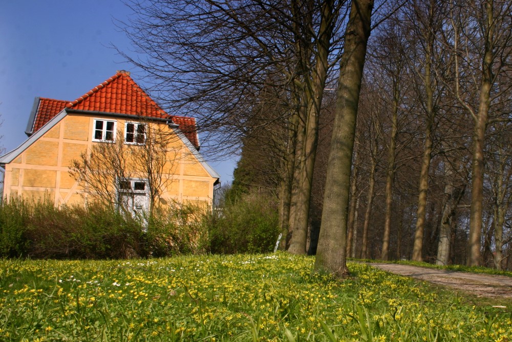 Hus med træer i forgrunden